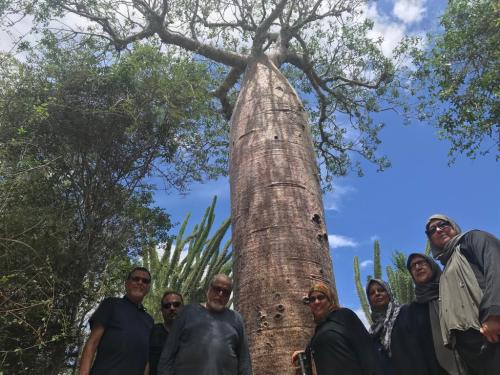 Seniors-heritage-trip4